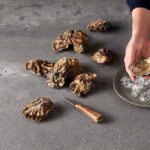 Caesarstone Rugged Concrete 4033 изготовлено в правила камня