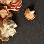 Caesarstone Piatra Grey 5003 изготовлено в правила камня