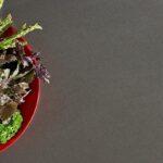 Belenco Forza Fume 5050 изготовлено в правила камня