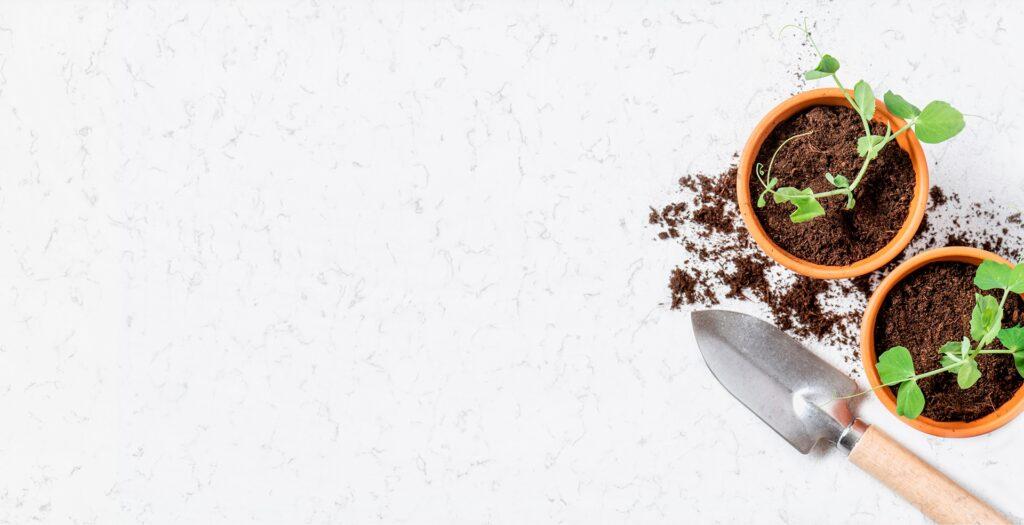 Belenco Minta 5113 изготовлено в правила камня