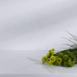 Belenco Carola 5114 изготовлено в правила камня