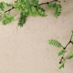 Caesarstone Dreamy Marfil 5220 изготовлено в правила камня