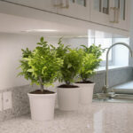 Caesarstone Atlantic Salt 6270 изготовлено в правила камня