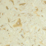 Avant Quartz 9023 Лотарингия изготовлено в правила камня