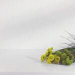 Samsung Radianz Carola CR157 изготовлено в правила камня