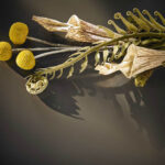 Corian Deep Sable изготовлено в правила камня