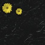 Hanex CC-006 Cascade Black изготовлено в правила камня