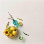 Hanex ST-102 Marelinho изготовлено в правила камня