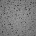 SmartQuartz Simple Grey изготовлено в правила камня