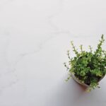 Staron VC110 Supreme Cotton White изготовлено в правила камня