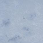 IDS 1113 Morsan изготовлено в правила камня