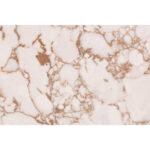 Samsung Radianz Cirrus AL450 Alluring изготовлено в правила камня