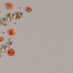 Coante 1105 Regina изготовлено в правила камня