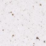 Pluton T-068 Rice Cookie изготовлено в правила камня