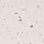 Pluton T-098 Cold Stone изготовлено в правила камня