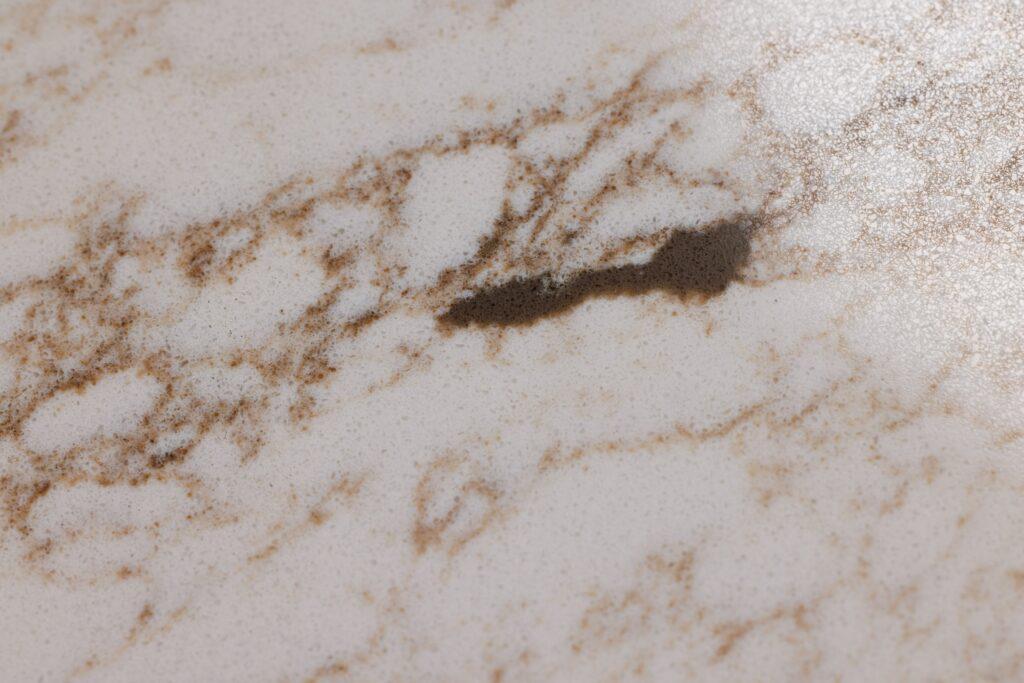 Asterum A4101 Safary изготовлено в правила камня