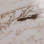 Asterum A4101 Safary изготовлено в правила камня