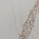 Asterum A5002 Caracum изготовлено в правила камня